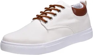 Casual Walking Shoes Men Low Top Canvas Walking Shoes Lace Up Fashion Casual